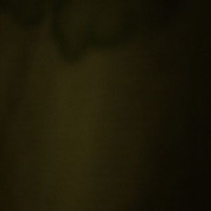 Meet your Posher, Mackenzie